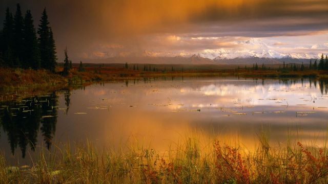 movie porn post over wallpaper park nature clouds sunset tundra pond mount mckinley denali national alaska