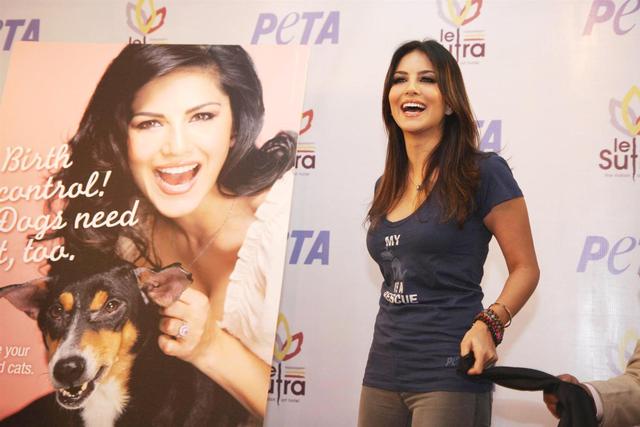 new porn porn photos star pornstar sunny leone preview bollywood mumbai jjc campaign unveils peta unveiling photoalbum rediff jasqlk