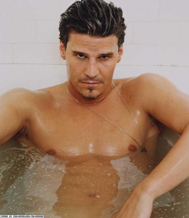 nude porn category naked david boreanaz