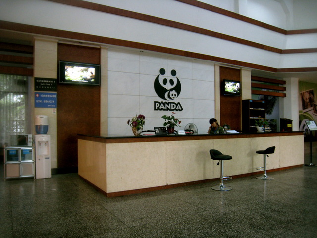 panda porn pandas chengdu