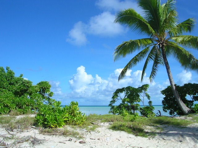 paradise porn star island kiribati travel writing butaritari