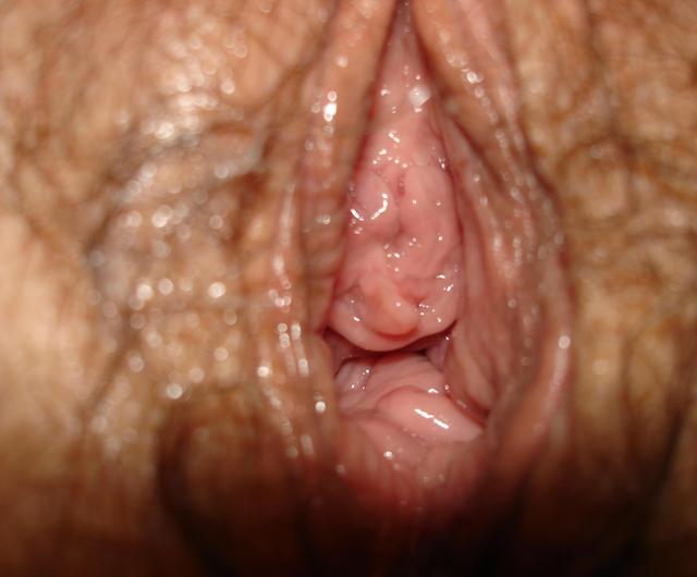 close up pic of a vagina porn photo amateur close all natural vagina