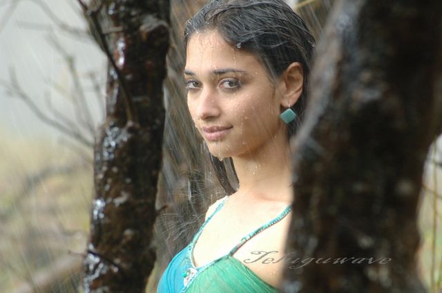 hot and sexy gallery photo pics gallery hot movie sexy from tamanna tamana aawara