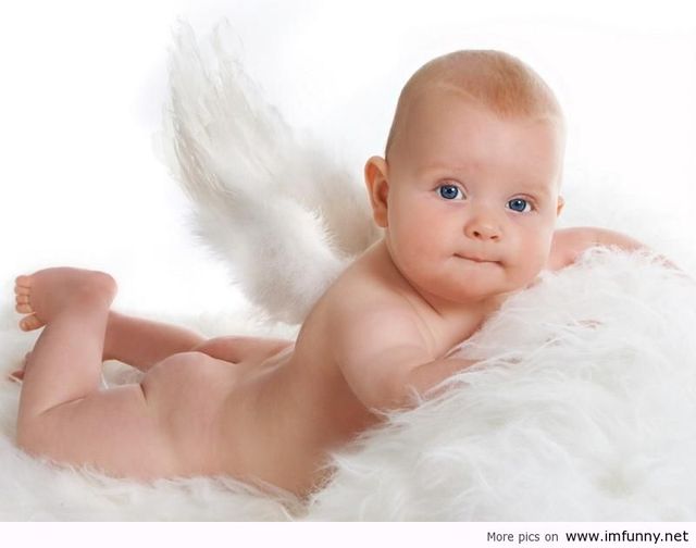 hot babies naked little angel baby