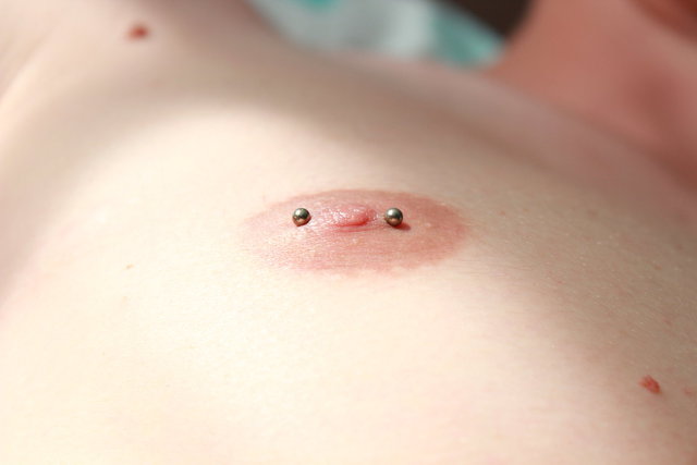 largest nipple pics piercing art nipple shibbym bedte
