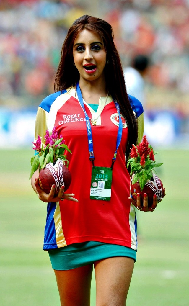 pic hot chicks media pics hot chicks apr bangalore cricket sports photogallery ipl sanjana bccl