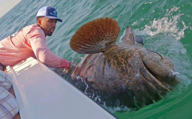 pic of a big ass ass caught fish wilson chandler nba