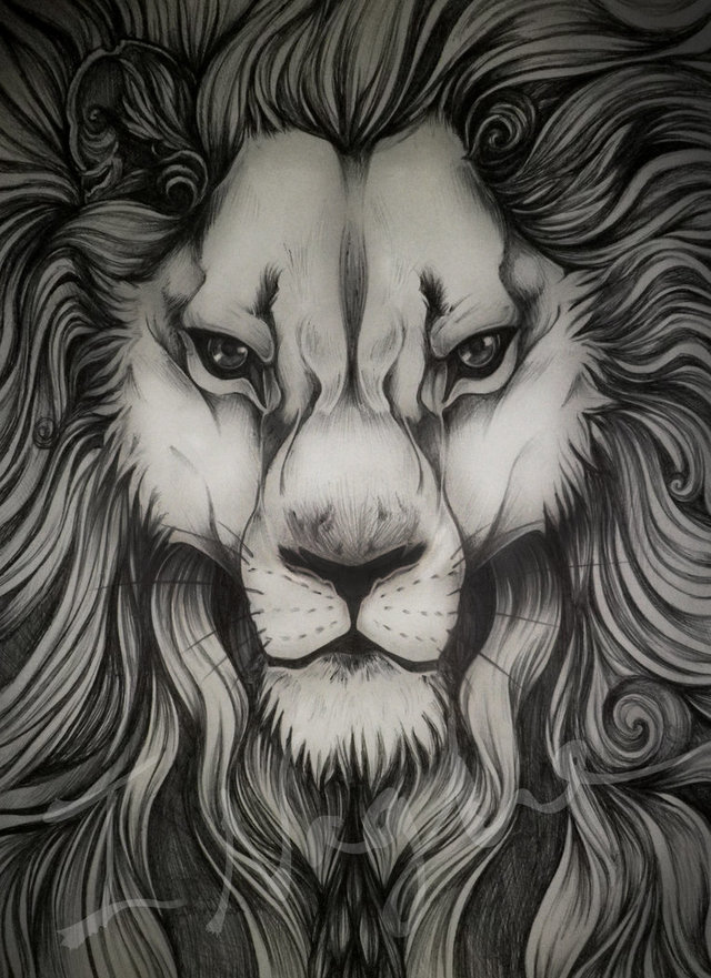 pic of a big ass ass art lion pre sketch overly detailed biro bluelioness