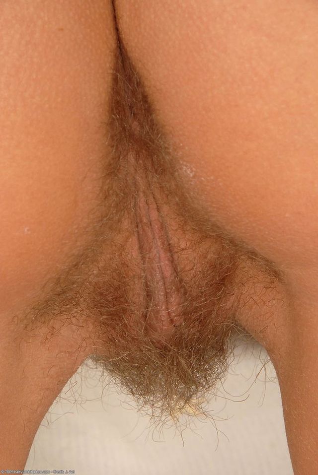 pussies close ups pics pussy back hairy close picpost thmbs side