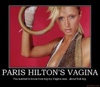 hilton paris porn demotivational poster paris hiltons vagina hilton