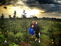 orchard porn valley orchard bob michelle marla zucchini apple muffins