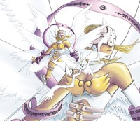 digimon porn angewomon ray