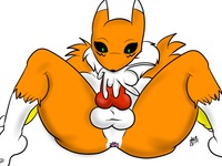 digimon porn fde digimon renamon