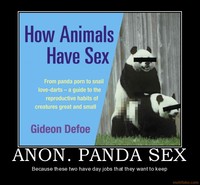 panda movie porn demotivational poster anon panda porn mammal facebookview