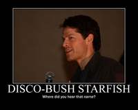 name porn star photos
