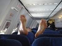 online porn switched media flight cabin online porn planes attendants can help