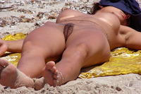 beach voyeur images pics beach voyeur hairy pussy gallery trimmed