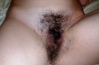 best hairy porn pics galleries hairy natural porn pussy mpeg fucking farm