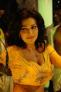 big big boob photos asha saini boob hot dance still gallery photo size