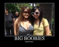 big boobies pic mediafiles picture pictures