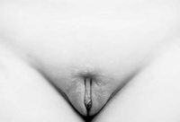 black vulva pics wikipedia commons vulva black white