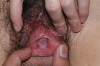 close vagina pictures wzkowwba chinese vagina hole close photo