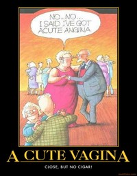 cute vagina photos acutevagina grasscity humor cute vagina