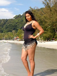 free hot bikinis gallery nami bikini namitha hot photos