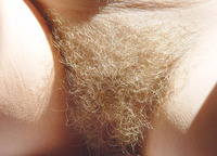 hairy bush pics blond bush