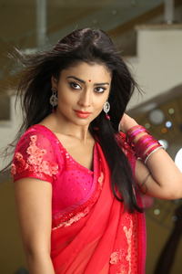 hot and sexy gallery sriya saran pavitra movie stills glorious elegant shriya ethnic designer saree collection