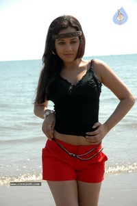 hot big hips pics gallereys spicy normal nisha kothari hot stills gallery large