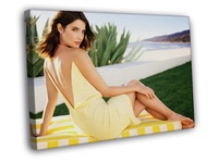 hot sexy feet photo canvas itm cobie smulders hot sexy yellow dress legs feet wall framed print