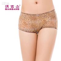 panties sexy pic albu leopard print sexy seamless panties pearl product