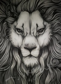 pic of a big ass pre ass overly detailed biro sketch lion bluelioness art