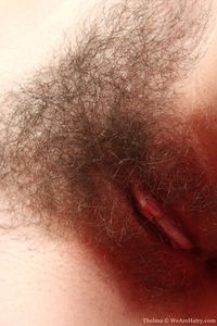 pics of up close pussy picpost thmbs hairy close pussy picture pics