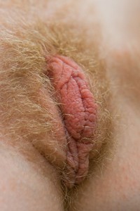 pictures of huge pussy lips pics hairy huge pussy lips girl slip