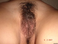 very hairy pussies pics wallpapers very hairy pussy pubic hair curls