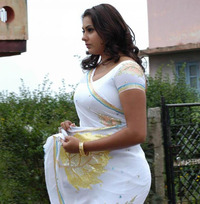 free hot sexy pictures namitha sexy hot photo gallery