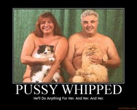 pussy pics pics org demotivational poster pussy whipped cats posters