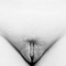 black vulva pics
