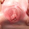 close up pic of a vagina