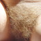 hairy bush pics