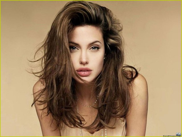 actress porn porn original media jolie charming nude naked fine actress angelina hollywood topless puzzy