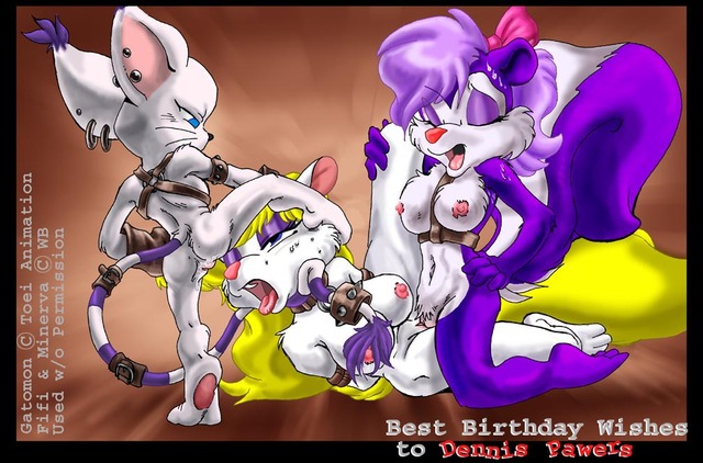 digimon porn toon tiny adventures digimon gatomon kandlin minerva vck animaniacs fifi fume mink