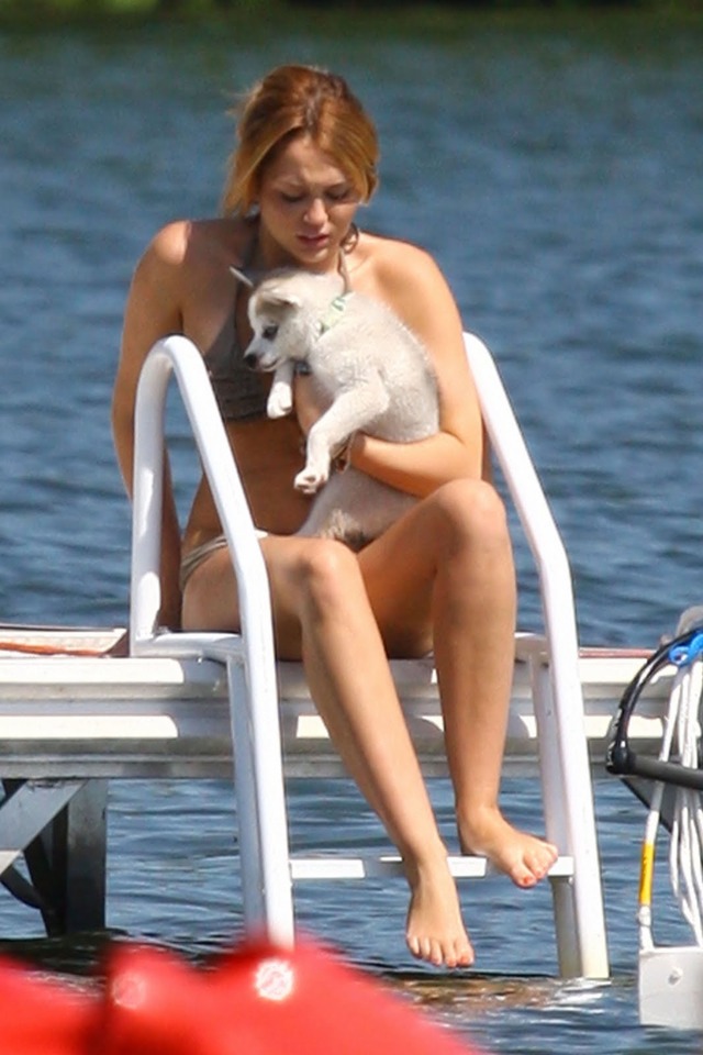porn orchard porn bikini july miley cyrus orchard lake candids hvfeawjz