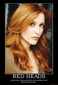 hot red head pics demotivational poster red heads head facebookview