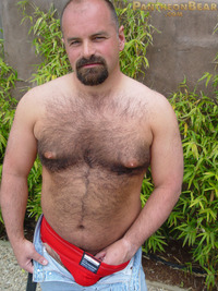 hot tattoo porn pics dave pantheon bear hairy goatee sexy hot ass jockstrap cock ring football jersey beefy stocky gay porn paw tattoo boots jeans bears pics